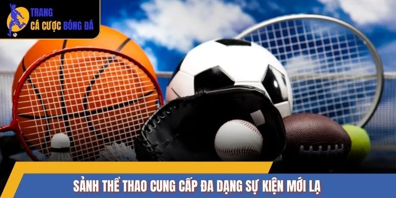 Sảnh thể thao cung cấp đa dạng sự kiện mới lạ