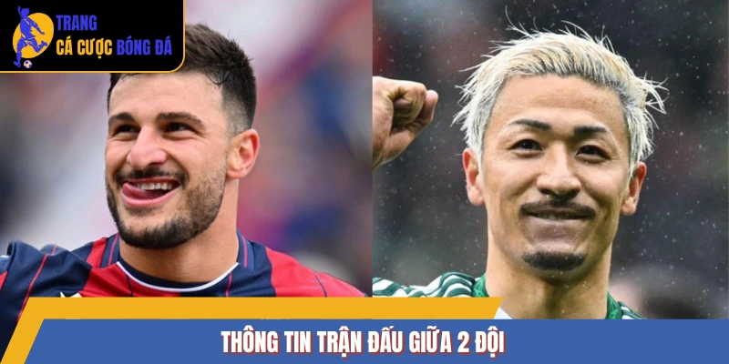 Thông tin trận đấu giữa 2 đội